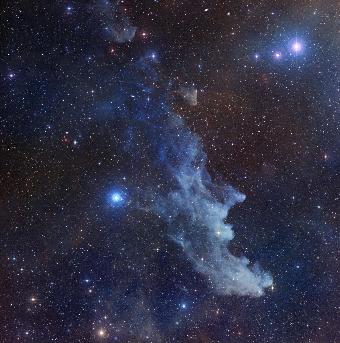 The Witch Head Nebula – IC 2118

📸 Noel Carboni