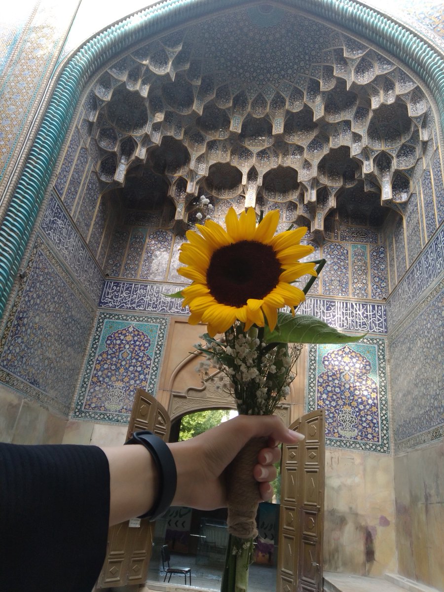 ftm_mh77's tweet photo. خرداد 🌻🩶 : https://t.co/fyMx9Hefaa
