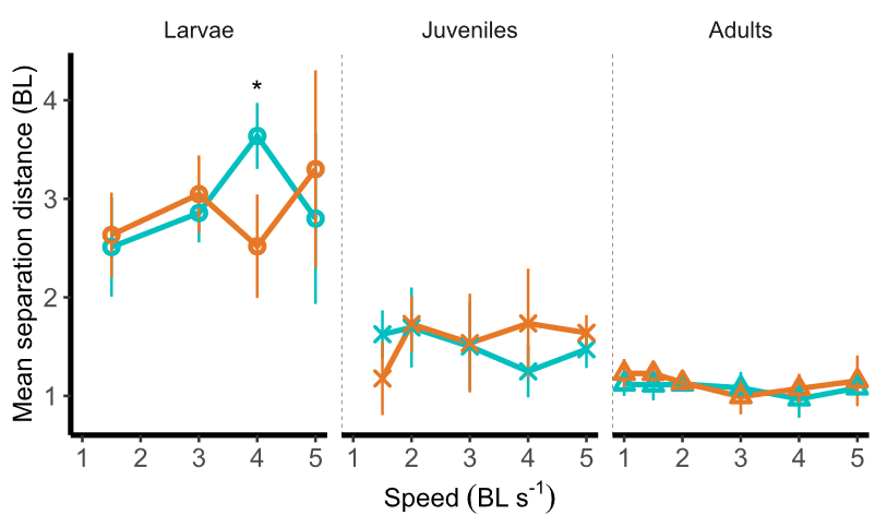 Fidji Berio (@fidjiberio) on Twitter photo 🚨Excited to share my first #postdoc paper in the @fishphysiology lab!🤗
We investigate shoaling behavior over ontogeny and under #warming in #zebrafish🐟
So lucky to work with @valedisanto, <a href="/CamilleMorerod/">Camille Morerod</a> & <a href="/Qlikesit/">Q</a>!💪
📃doi.org/10.1093/icb/ic…
<a href="/SICB_DCB_DVM/">SICB DCB-DVM</a> <a href="/ICB_journal/">ICBJournal@sicb.org</a> 🚨Excited to share my first #postdoc paper in the @fishphysiology lab!🤗
We investigate shoaling behavior over ontogeny and under #warming in #zebrafish🐟
So lucky to work with @valedisanto, <a href="/CamilleMorerod/">Camille Morerod</a> & <a href="/Qlikesit/">Q</a>!💪
📃doi.org/10.1093/icb/ic…
<a href="/SICB_DCB_DVM/">SICB DCB-DVM</a> <a href="/ICB_journal/">ICBJournal@sicb.org</a>