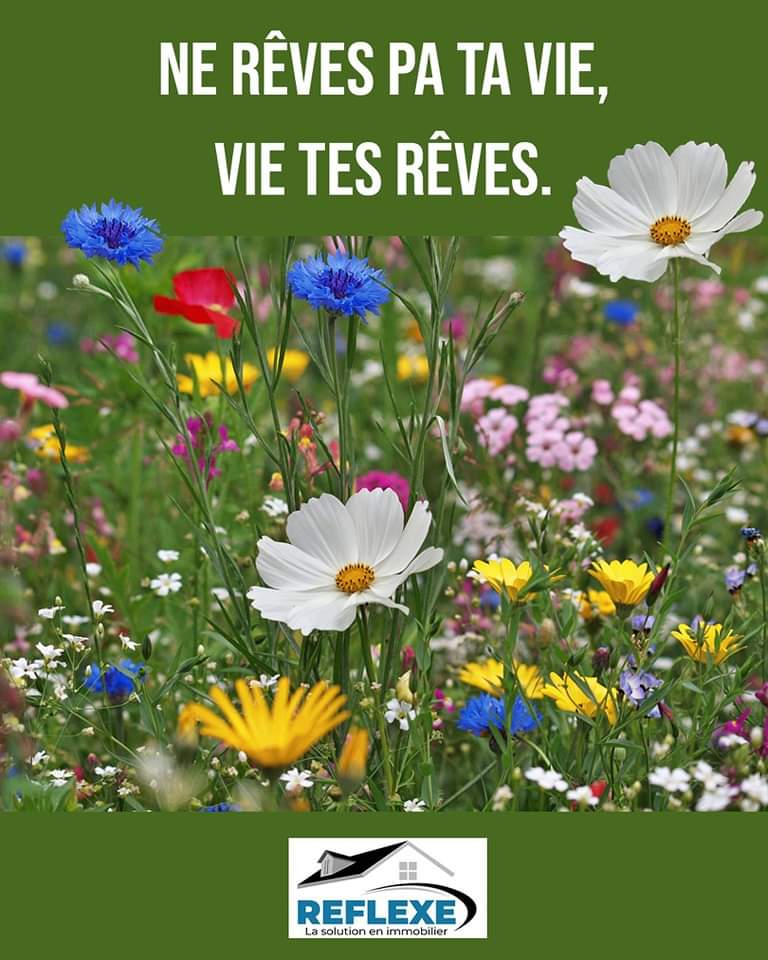 reflexeimmo's tweet photo. Bon jeudi!

https://t.co/XyvDk0kLfh 

#reflexe #immobilier #realestate #mortgage #bestdeal #Haïti  #ayiti #realtor  #realestatemarketing #realestateagent #house #forrent #alouer #haiticherie https://t.co/b5iY23wln7