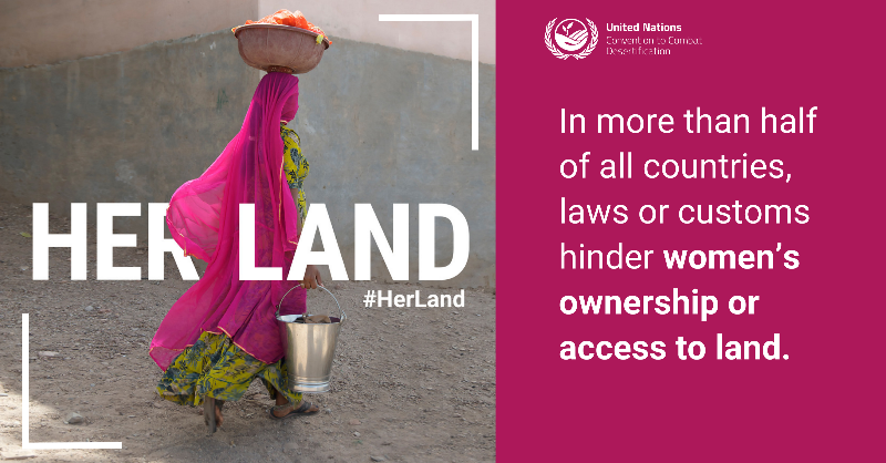 Women and girls suffer disproportionately from land degradation and desertification.

Saturday’s Desertification and Drought Day puts a spotlight on actions needed to advance #HerLand rights.

More from <a href="/UNCCD/">UN Land and Drought</a>: bit.ly/444it2K