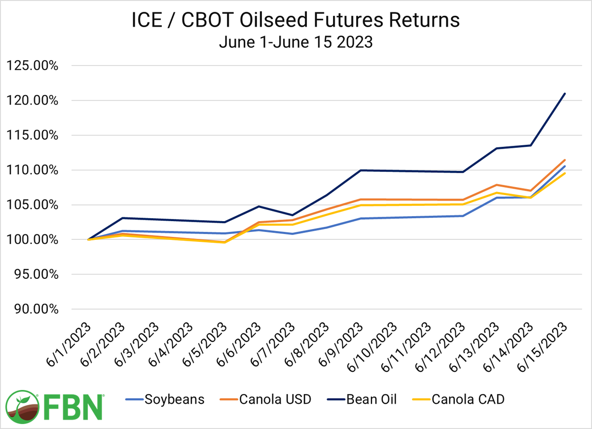 Oilseed returns since June 1.  Vegoils far outpacing oilseeds, even #soybeans after today's rally.  Also put #canola in both $USD and $CAD to show that rising loonie is sucking value out.  #soyoil #westcdnag #fbnfarmers