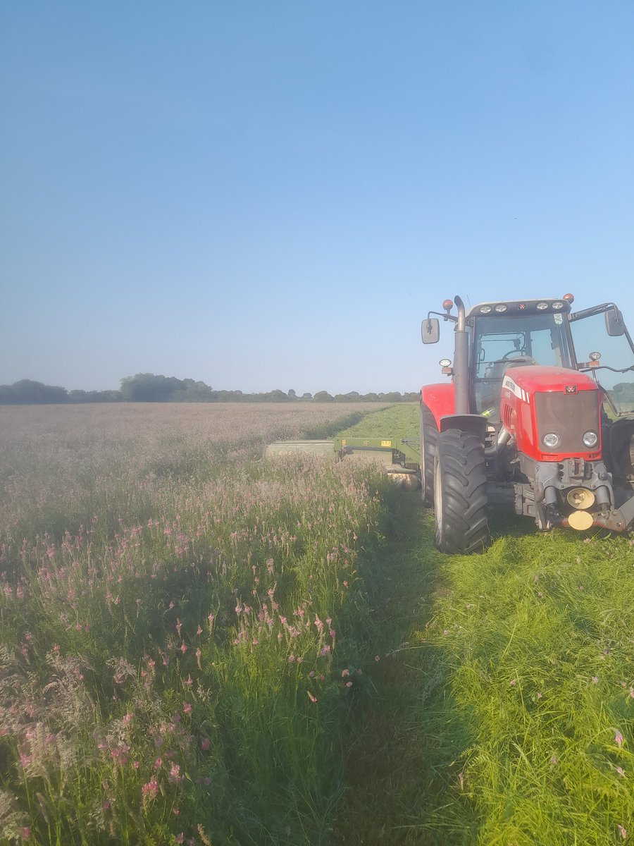harrybelluk's tweet photo. Thank to @mattday821 for the loan of tractor and mower. The sanfoin is down. https://t.co/QCfzPvgFCo