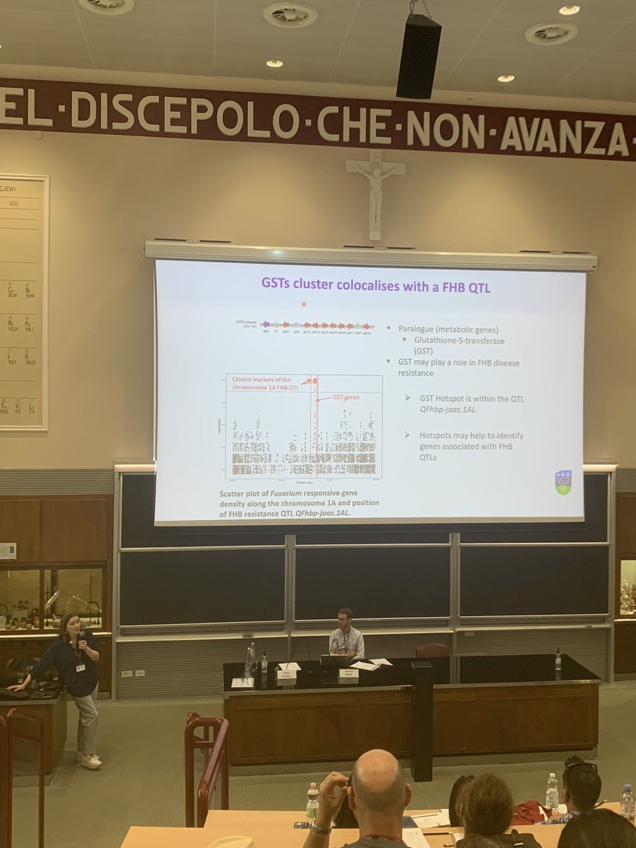astaronager's tweet photo. Time to head home after four days of Fusarium-related science in fantastic Rome. I learned some very interesting things, presented my first poster AND gave my first flashtalk in front of a larger audience. And what do you know - plant GSTs were even mentioned in a talk 👀 #efs16 https://t.co/ozeiyA7vxp