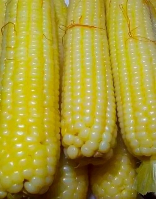 Snacking with farm fresh corn🌽 always goes with something to make remarkable sensation. What do you normally combine with corn for snacking?

Tag a friend. #corn #snacking #farmsnacks #foodies #africanfoodies #nourishing #africans #TAGsFarm