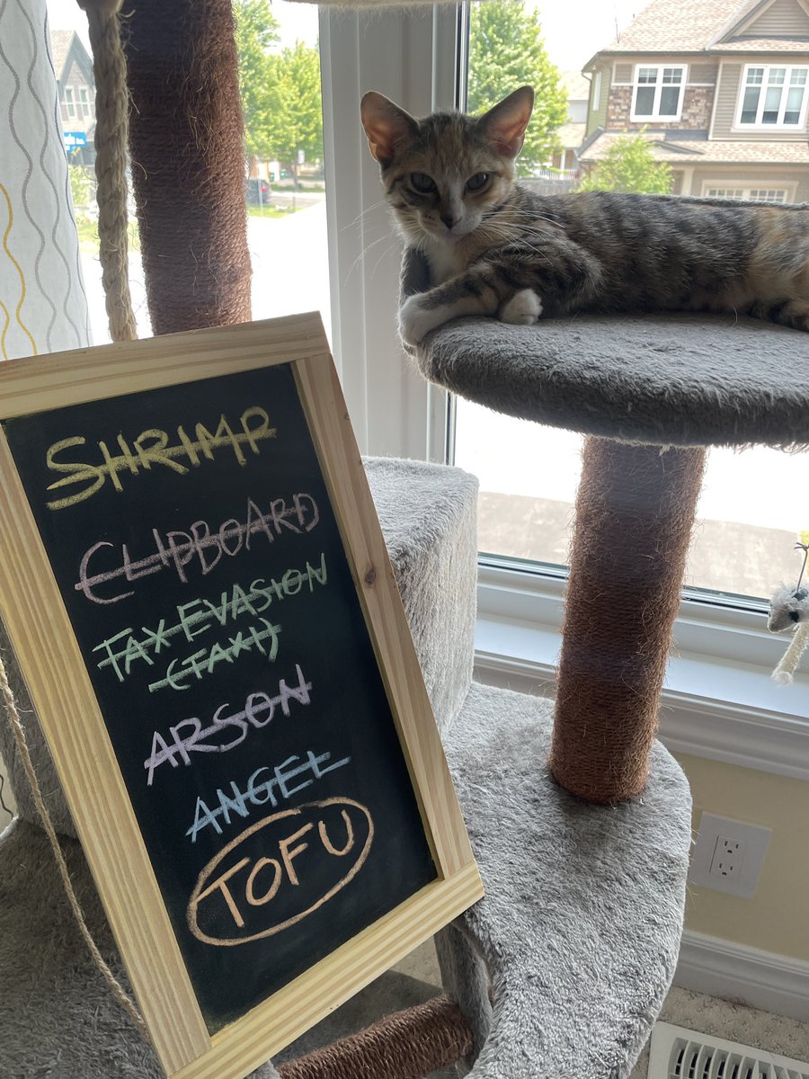newarked_'s tweet photo. Shroom and Tofu have arrived on the scene and their mission is to cause problems on purpose https://t.co/oXkOrKRcbE