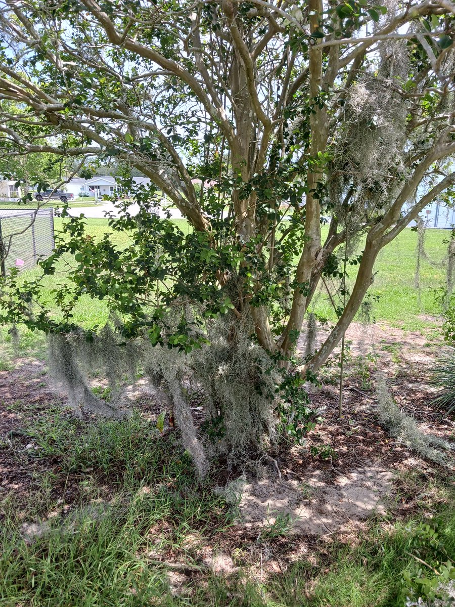 mclayton1970's tweet photo. So the course I'm working at needs a little TLC and I'm happy to provide that assistance it just takes. #prideinwork https://t.co/Slnd3s8bOU