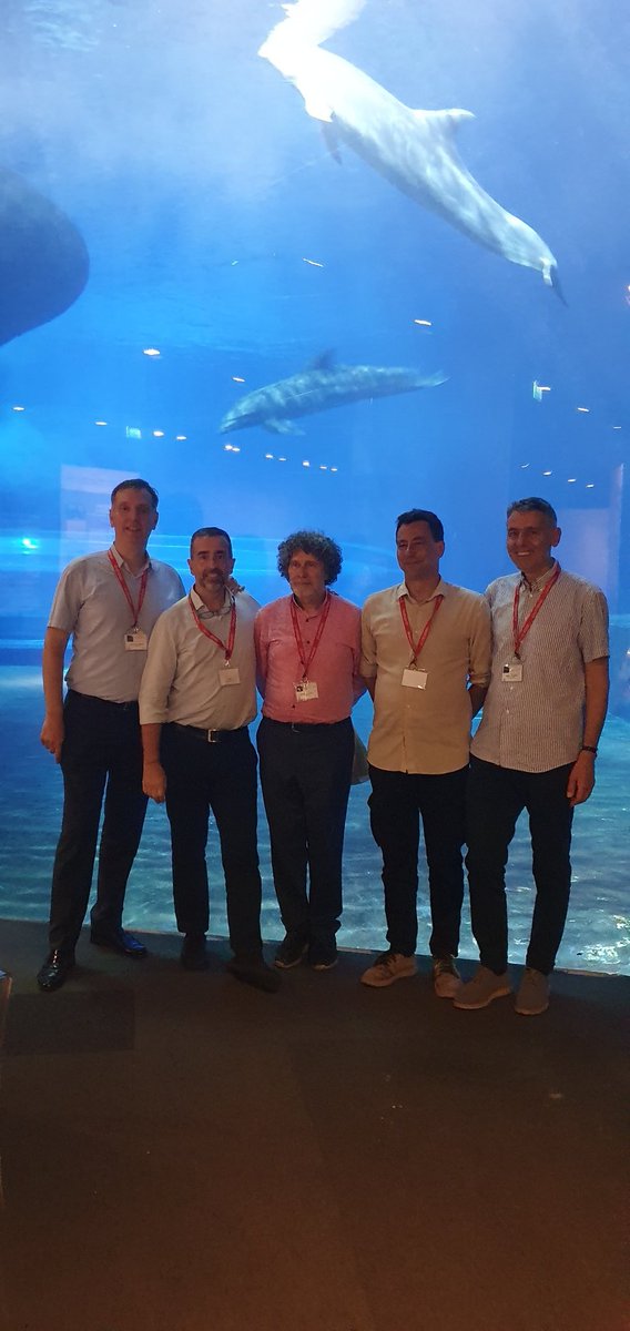 Giuliano Giambastiani 🐸 tweet media