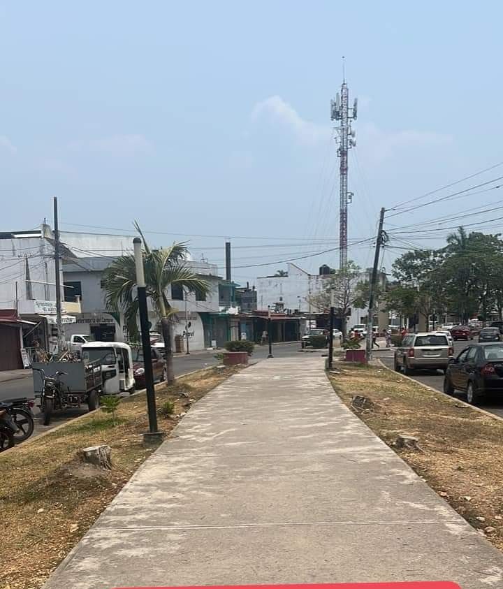 edermarcin's tweet photo. @SEMARNAT_mx El gobierno de Macuspana Tabasco talando árboles por toda la ciudad https://t.co/yv5Ms4MrFR