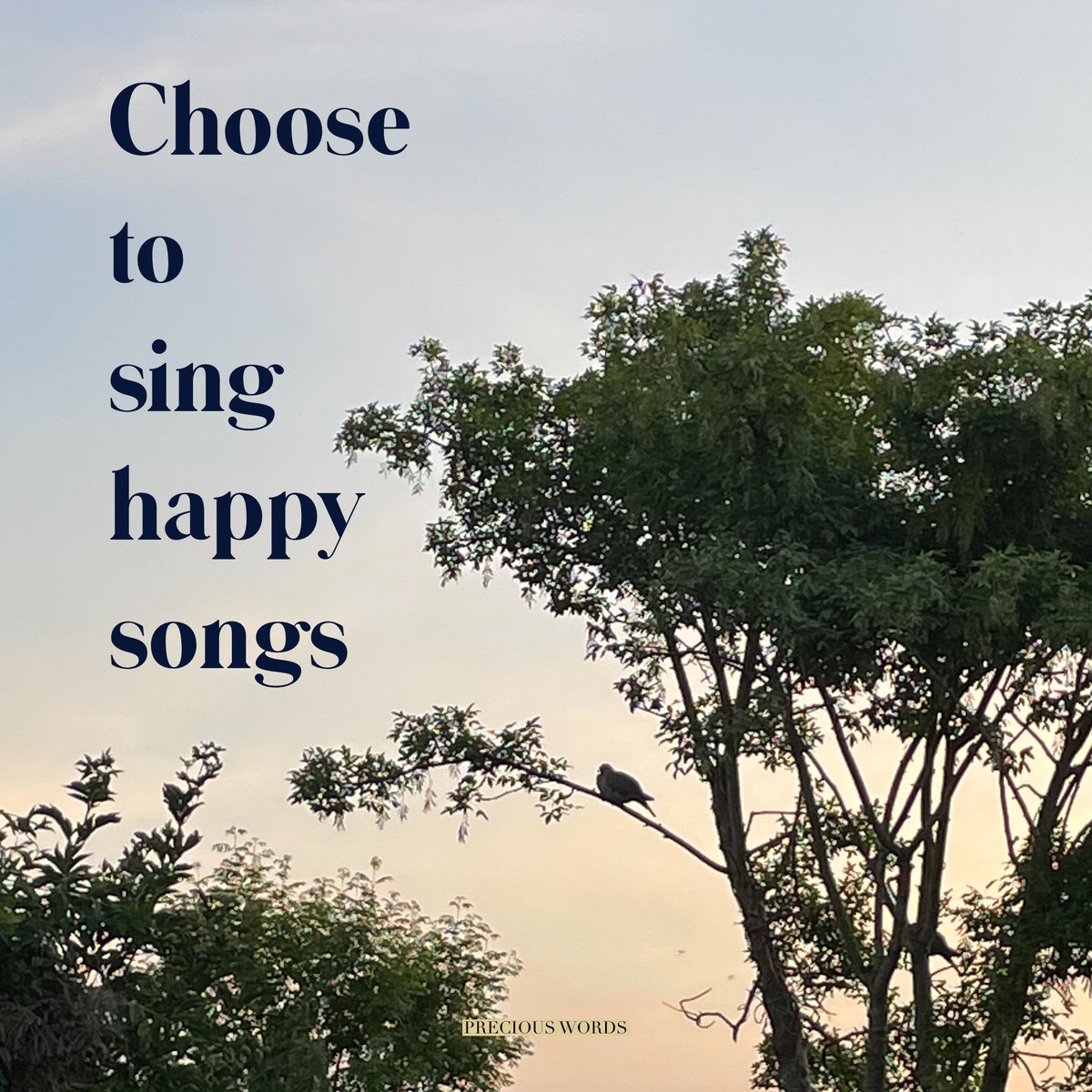 Choose to sing happy songs.
#singhappysongs #choosetosing #choosehappiness #preciouswords #preciousmoments