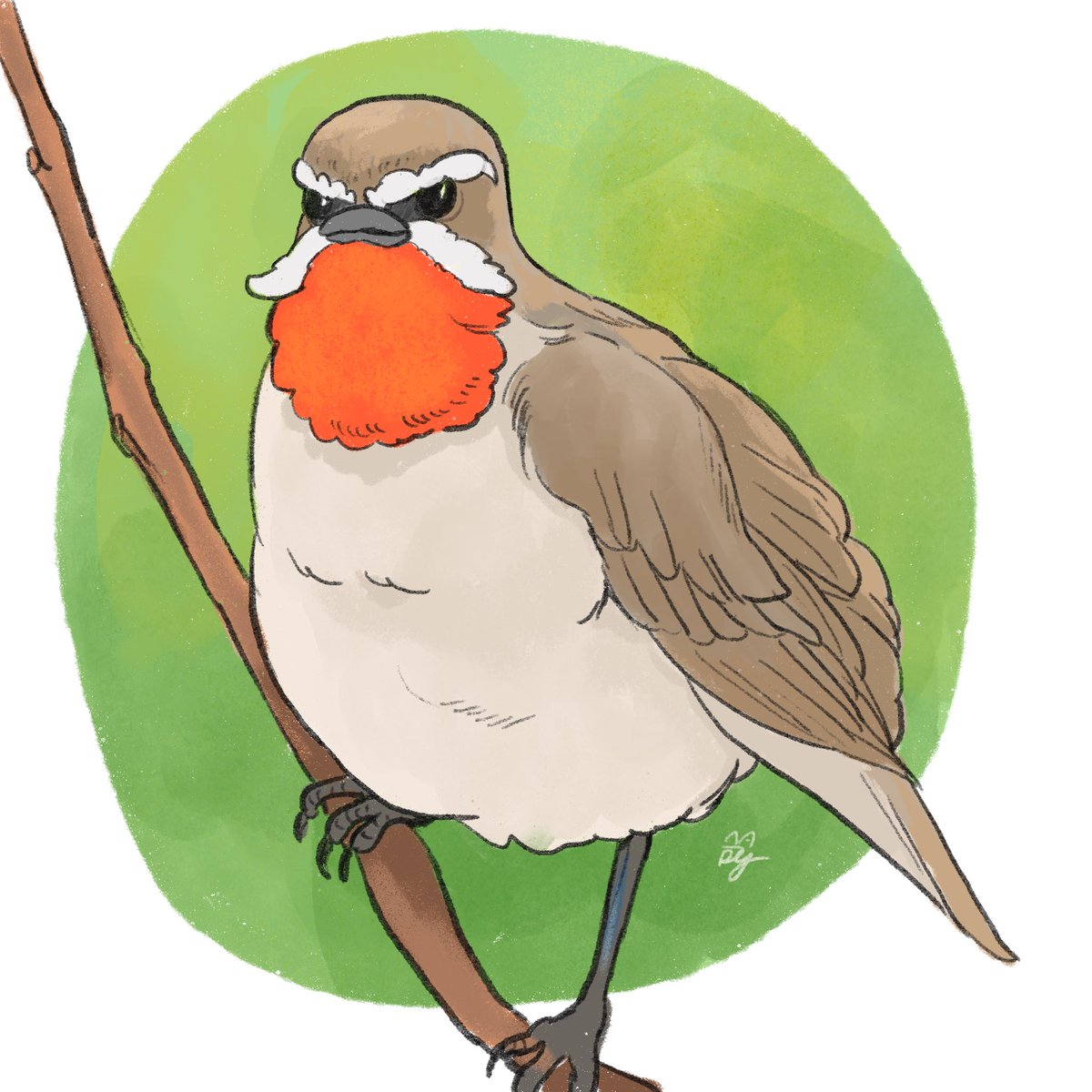 ノゴマです。この明治の偉人のような🥸野鳥は・・！と惹かれて描きました。日本には北海道に夏に飛来する野鳥です。野鳥の天然のデザインにはつくづく驚かされます！ https://t.co/thwXGO8Htx