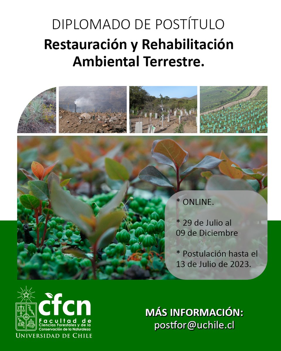 ¡Atención!  

Están abiertas las postulaciones para el Diplomado de Postítulo Online "Restauración y Rehabilitación Ambiental Terrestre"🌳 

¡No te pierdas la oportunidad de especializarte en esta área! Postulaciones hasta el 13 de julio🗓️

Ingresa aquí: uchile.cl/n175792