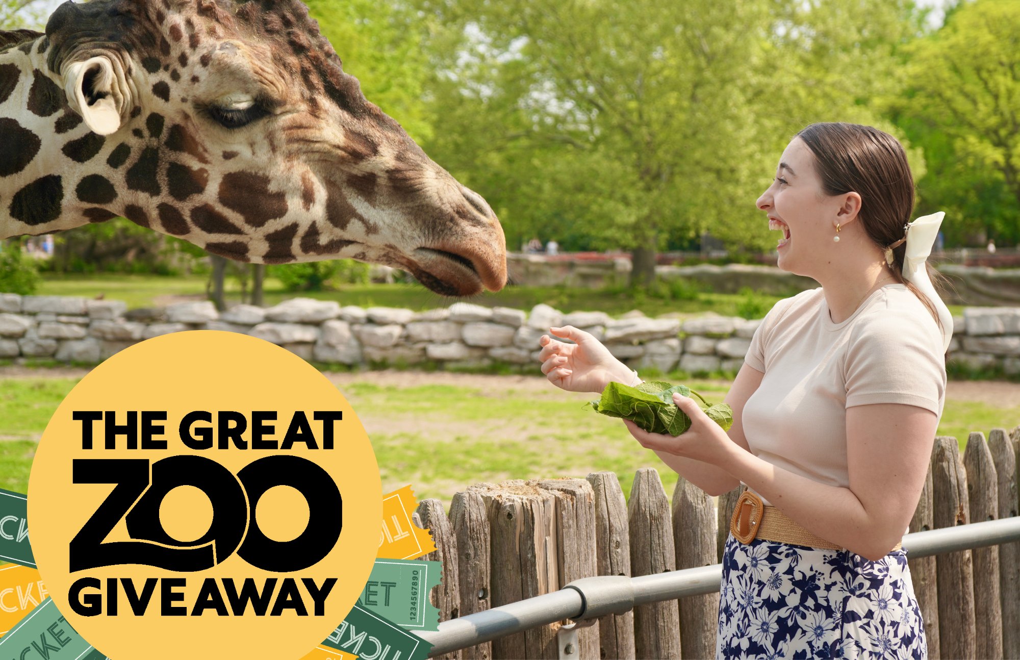 Detroit Zoo on Twitter "Win an allaccess pass to the Detroit Zoo