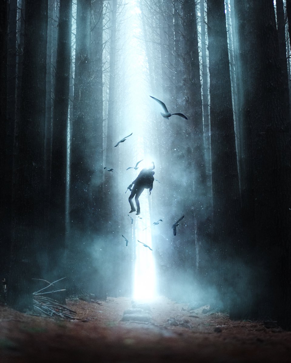 Wheezley tweet media