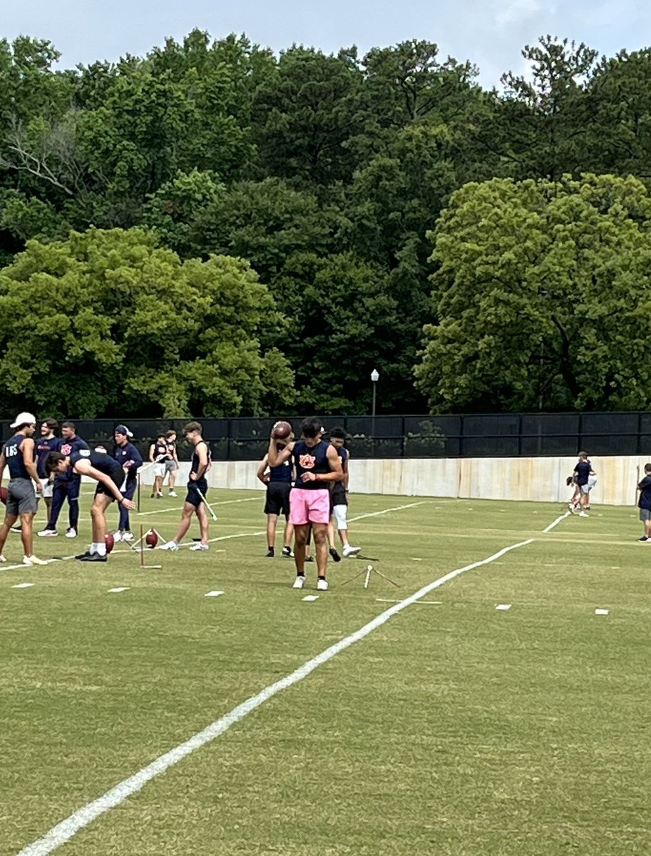 Ashton Paredes tweet media