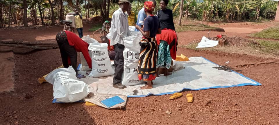 Mutenderi_Sect's tweet photo. @Mutenderi_Sect muri @NgomaDistrict  Ku bufatanye n'umushinga #AEBR-Edeni yacu, Abahinzi bo mu Kagari ka Karwema bari mu gikorwa cyo guhunika ibishyimbo. Igikorwa kikaba gikomeje.

#AEBR-Edeni yacu Ikaba yarafashije abahinzi kubona imifuka yo guhunikamo. https://t.co/ZqmGmxvh85