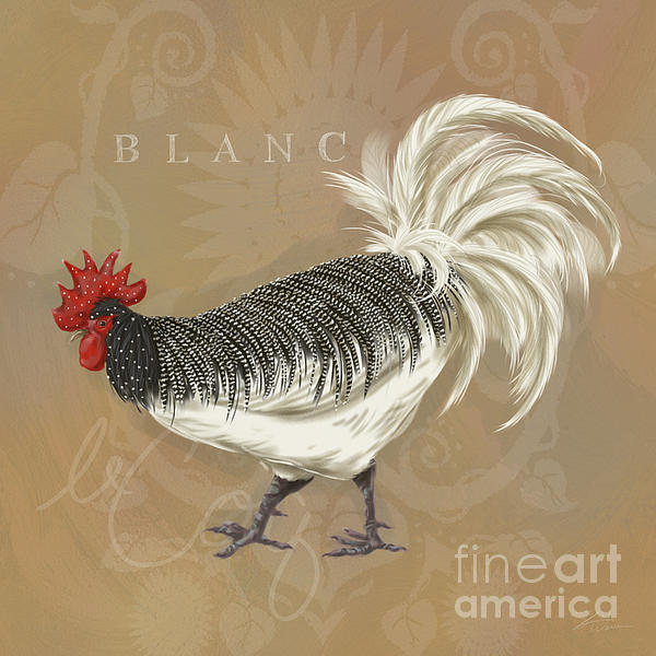 shariart's tweet photo. New artwork for sale! - "Rooster Blanc" - https://t.co/WkGBeLhCTu @fineartamerica https://t.co/ANLeYbYTIP