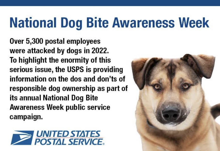 CourtSullivan's tweet photo. I would like to see “National Dog Bite Awareness YEAR,” held once every 52 decades. None of this “all bark and no bite” week sauce. https://t.co/gTl7vrJBSW
