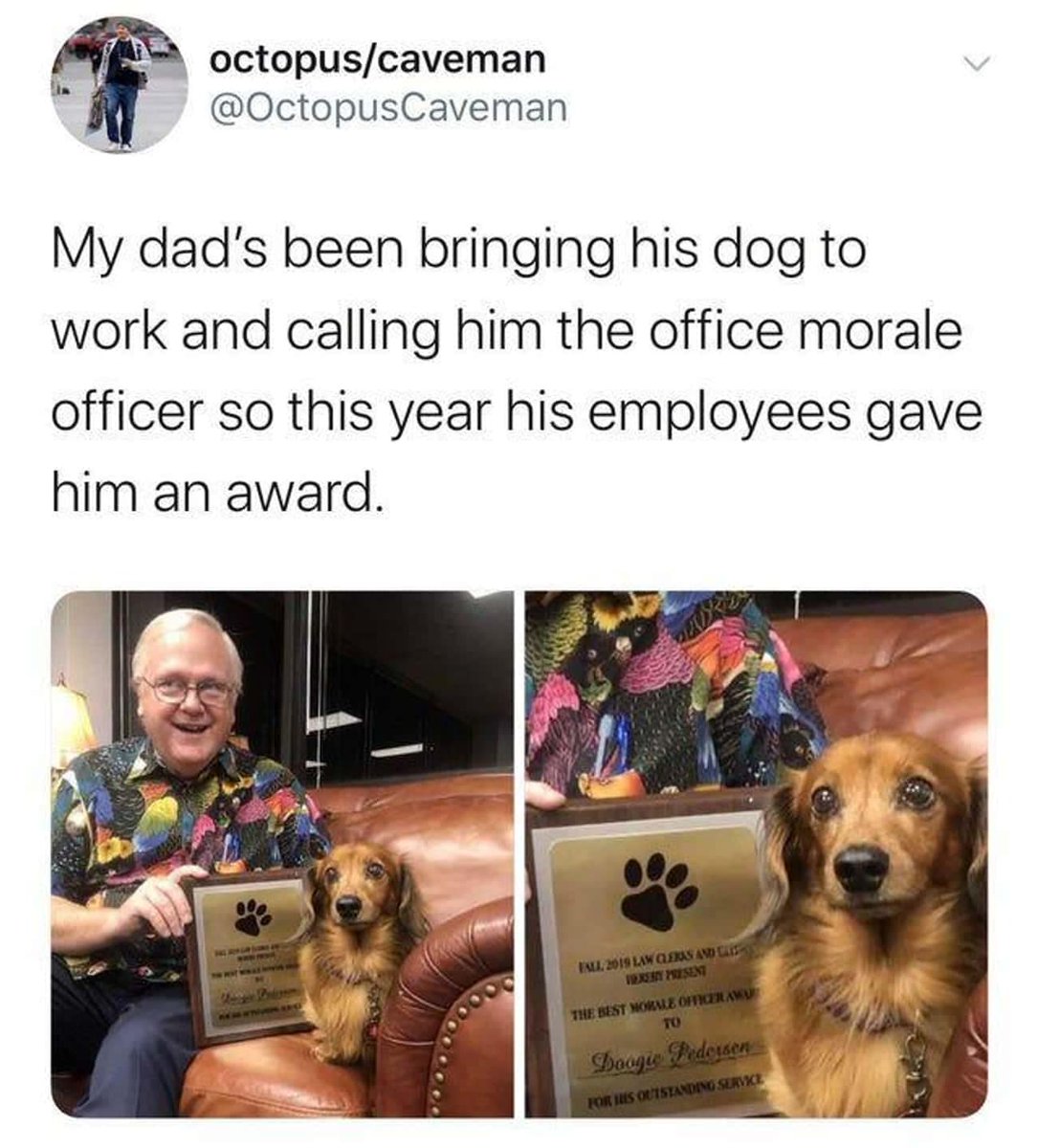 WholesomeMeme's tweet photo. Original tweet by Octopus Caveman @OctopusCaveman https://t.co/scfetTMPJS
