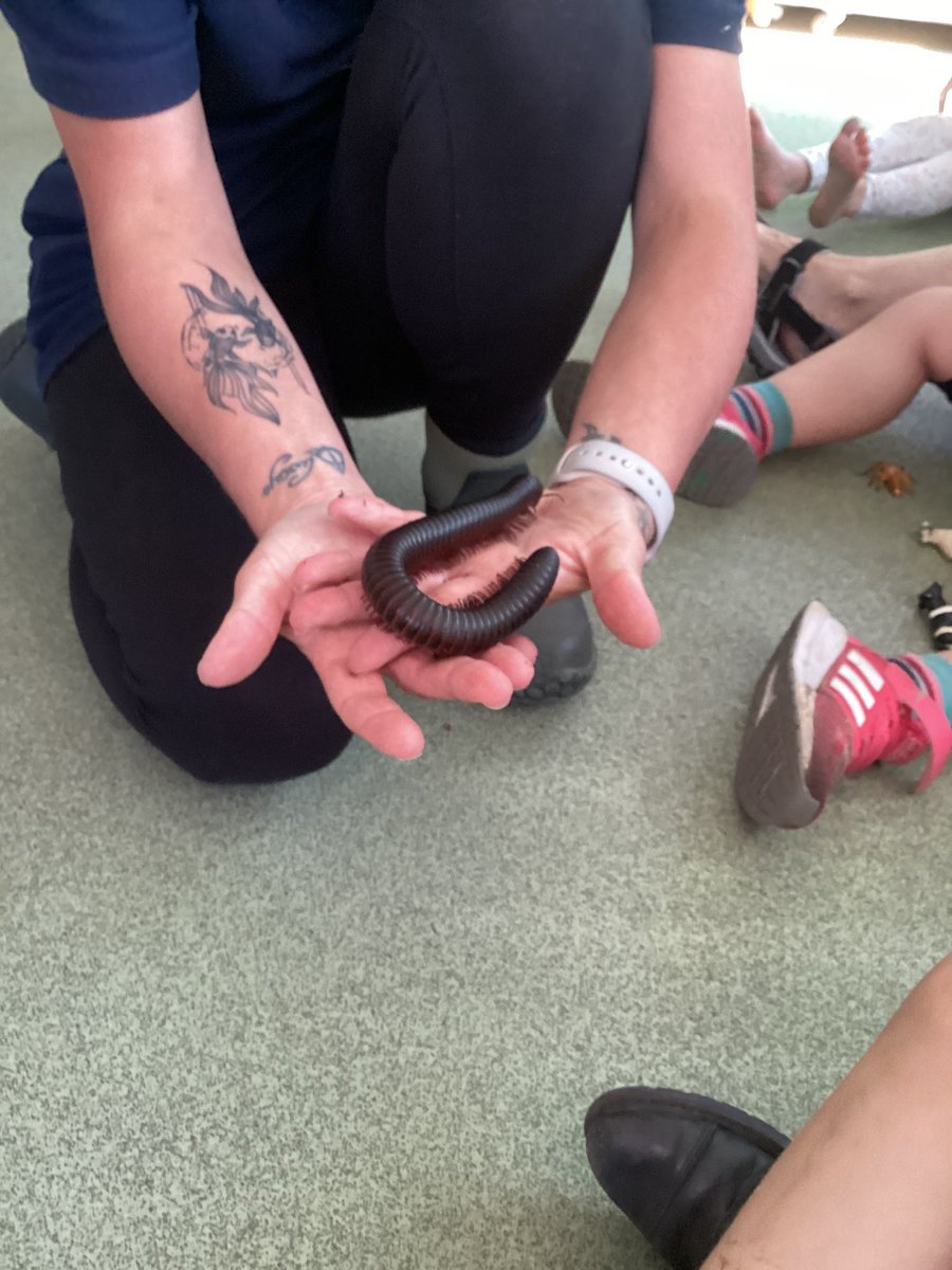 BroughamStreet's tweet photo. Following our children’s interest in mini beasts; today Tina Greaves (instructor of small animals) and Danielle Fox (head of department of animal management) from @cravencollege visited nursery school...along with some super bugs! #eyfs #understandingtheworld #culturalcapital https://t.co/U3p12G0FYE