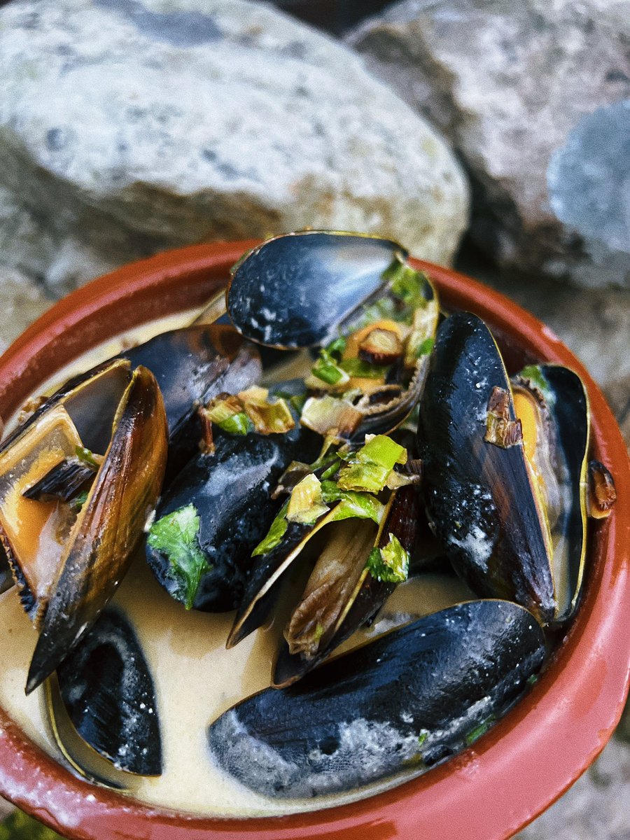 Exciting update from our offshore rope mussel farm off Conwy Bay! Impressive meat yield, showcasing sustainable aquaculture practices. Our staff relished the delicious harvest while supporting ocean conservation. 🌱🐟 #MusselFarm #SustainableSeafood #OceanConservation #bwydcymru