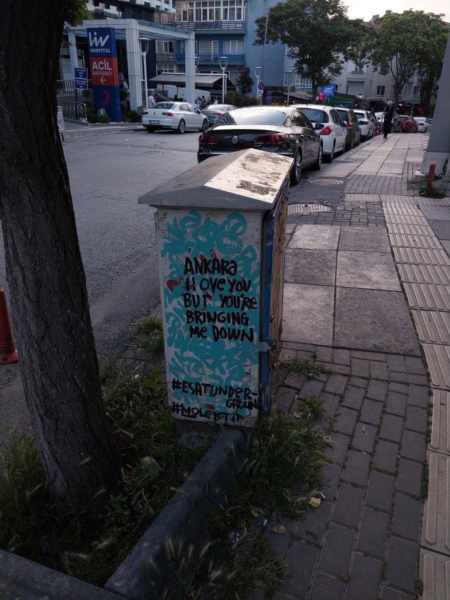 Benim favori alanım