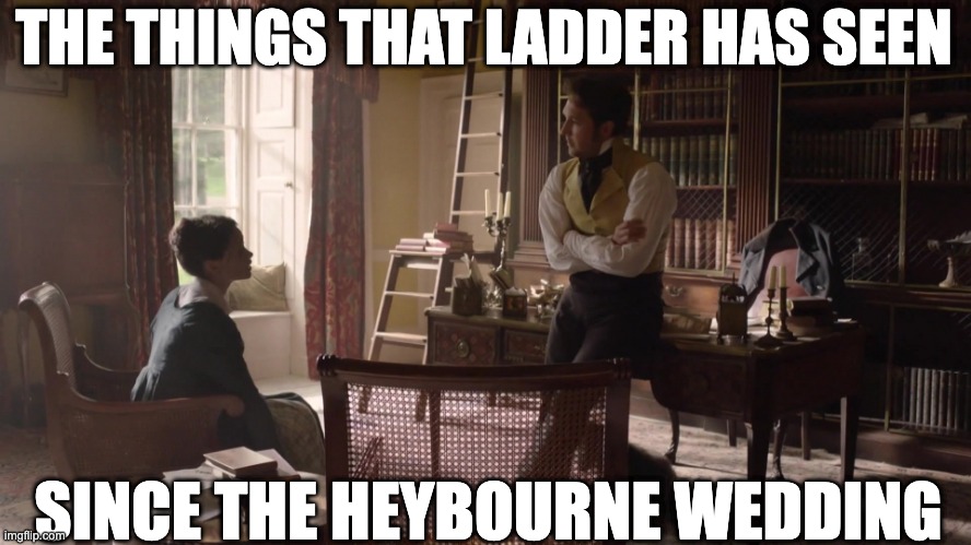 😉 Since Bridgerton Season 1, I cannot look at ladders in a study the same ever again 

#Sanditon #Heybourne #SanditonMeme