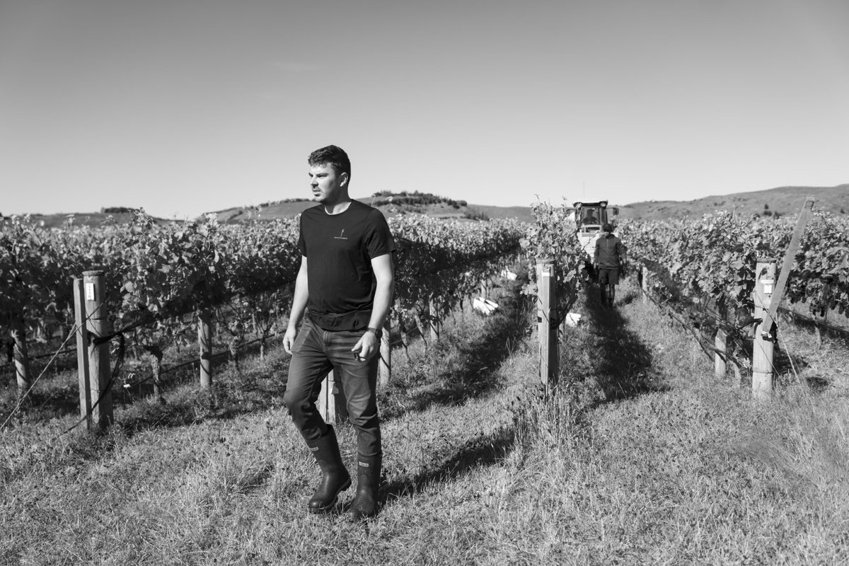 Craggy Range (@craggyrange) on Twitter photo A huge congratulations to Nick Putt, our HB Vineyards Manager, on taking out the 2023 Hawkeβs Bay Young Viticulturist of the Year title yesterday.
<a href="/NZYoungVit/">NZYoungVit</a> <a href="/nzwine/">New Zealand Wine</a> <a href="/HawkesBay_Wine/">Hawke's Bay Wine</a> A huge congratulations to Nick Putt, our HB Vineyards Manager, on taking out the 2023 Hawkeβs Bay Young Viticulturist of the Year title yesterday.
<a href="/NZYoungVit/">NZYoungVit</a> <a href="/nzwine/">New Zealand Wine</a> <a href="/HawkesBay_Wine/">Hawke's Bay Wine</a>