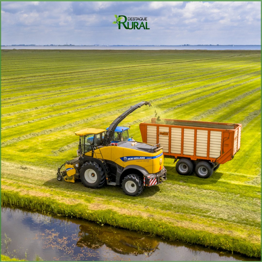destaquerural's tweet photo. A rede autorizada New Holland Agriculture está iniciando a PromoSolo, com descontos de até 50% em peças de reposição para tratores, plantadeiras e pulverizadores.

📲https://t.co/kYNkq3f9o9

#destaquerural #promoção #maquinasagricolas https://t.co/umO4PThzQ9