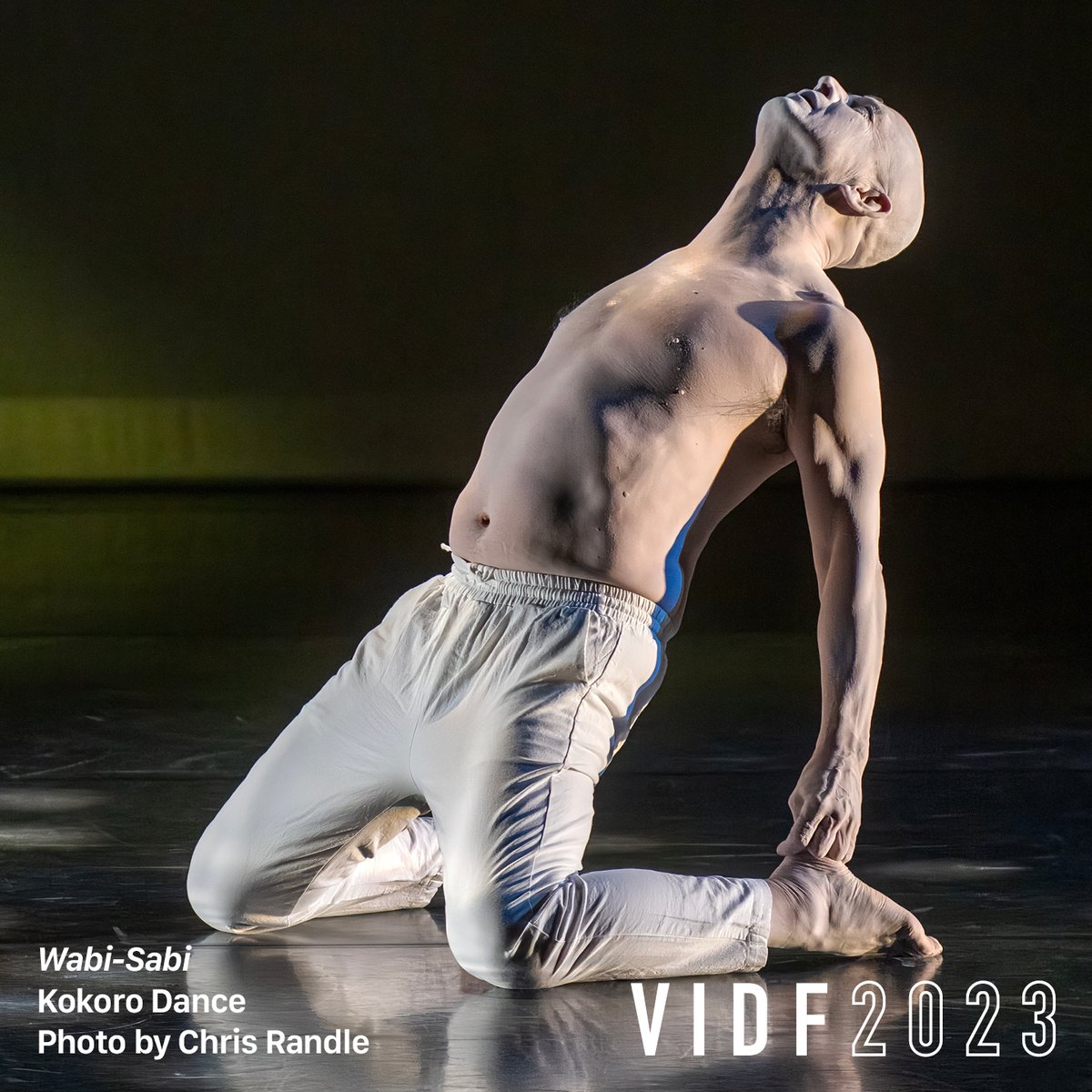 vidf's tweet photo. 2024 Festival planning has us reminiscing about our 2023 performances 😍

What was your favorite VIDF 2023 show?

#yvrarts #dance #vancouverdance #aakashodedra #kokorodance #christopherhouse #visionimpure #noamgagnon #alessandrosciarroni #dainaashbee #laotraorilla https://t.co/i9q4m6jh1x