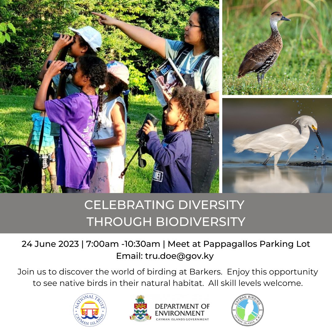 Swoop in and join us to celebrate (bio)diversity and check out some of our island's wildest residents with a guided birding event on Saturday, 24 June in Barkers.  Meet at Pappagallo parking lot at 7am and enjoy this opportunity to see native birds in their natural habitat.