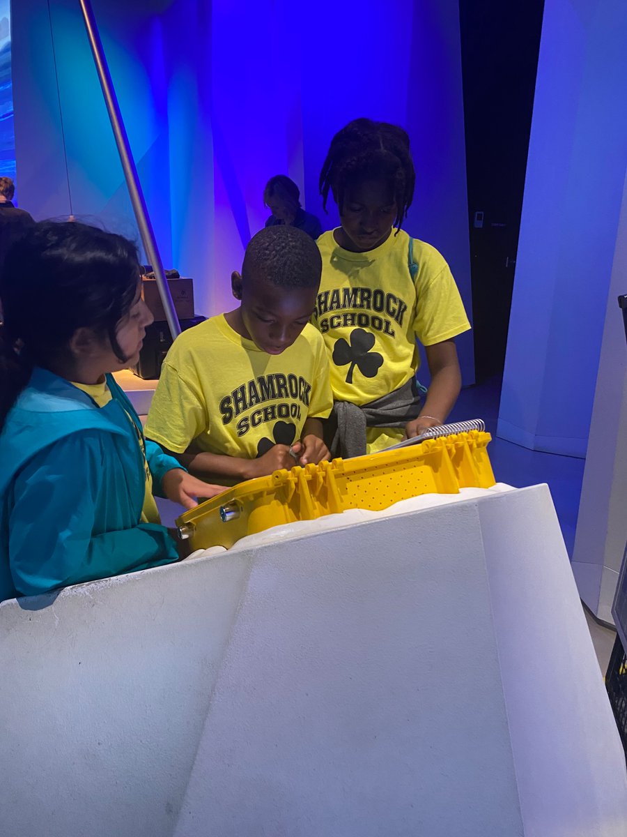 Mrs. Murphy tweet media