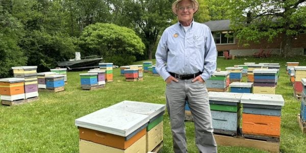 New honey bee research centre planned for @UofGuelphOAC ow.ly/grZS50OPJ4H #cdnag #ontag #westcdnag