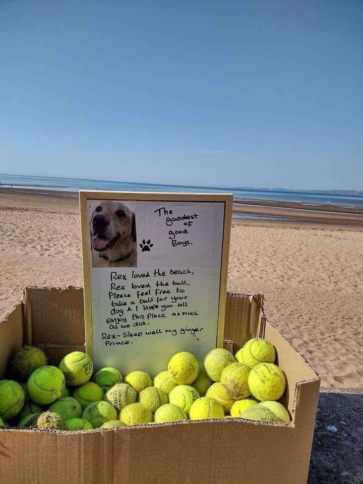 Alla morte del proprio cane Rex,il suo padrone ha messo uno scatolone pieno di palle da tennis dove amavano giocare insieme,invitando i proprietari di altri cani a prendere una palla e godere del tempo con i loro amici. Un gesto semplice, ma pieno d’amore. Bellissimo!
🐶🐾🐾❤️