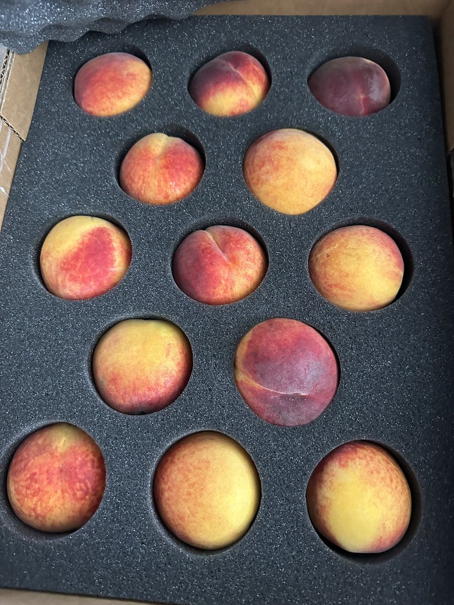The best peaches I’ve ever had have arrived