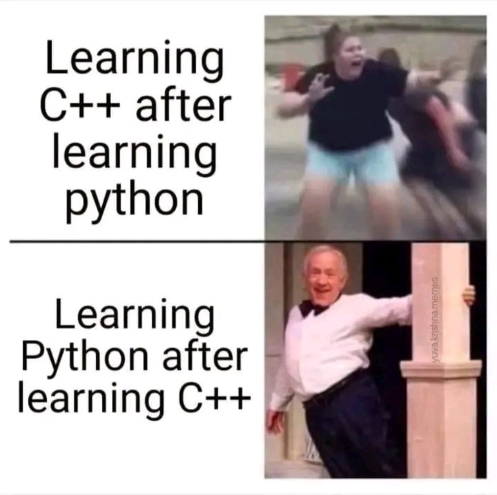 profemmy__'s tweet image. #devbubble #techtwitter #Python

True fact