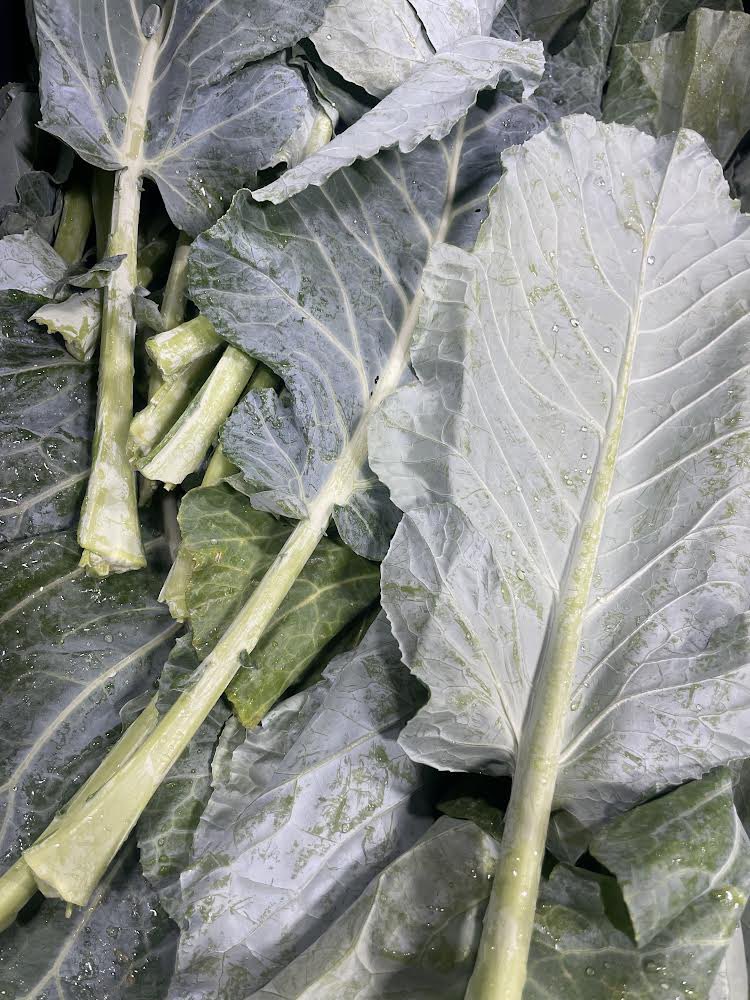 Memphis Tilth tweet media