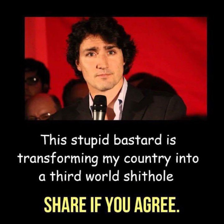 The Liberals are the pinnacle of ineptitude and corruption. Canada is an absolute laughing stock and a hotbed of corruption under Trudope and his brainless minions. #TrudeauCrimeMinister #TrudeauBrokeCanada #TrudeauChineseAsset #TrudeauThePedo