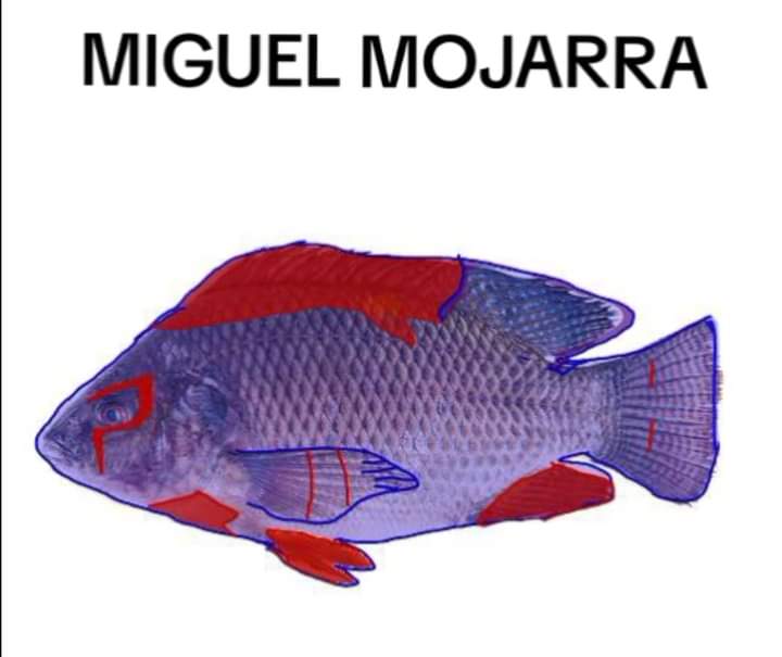 Miguel Mojarra