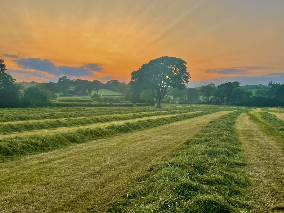 Just back from a walk along the lanes and through the fields as the sun was setting. Shower and bed for me, nite all. 🥱🌱☀️ #Shropshire