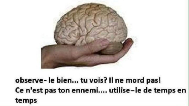 Collages Féministes Marseille tweet media