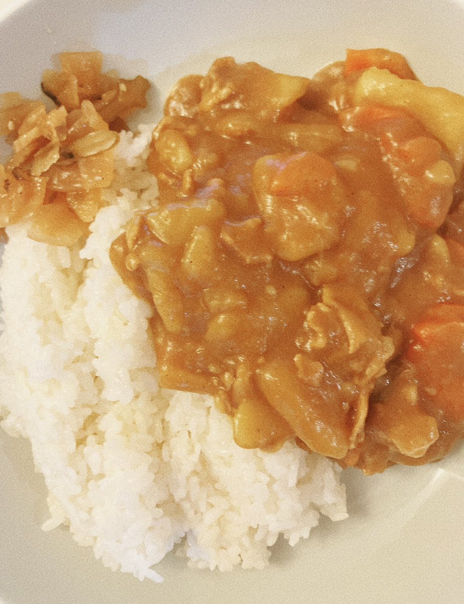 Japanese Style Pork Curry!!! Meshiagare!!!