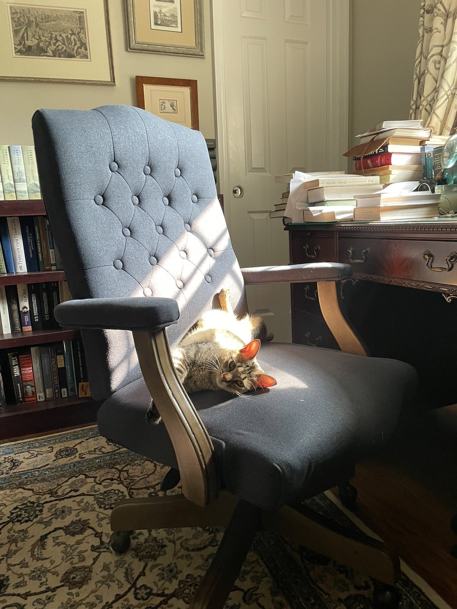 Just came back to my office after a short coffee break to find my chair occupied. I am beginning to realize that Marzipan owns the place … #cats