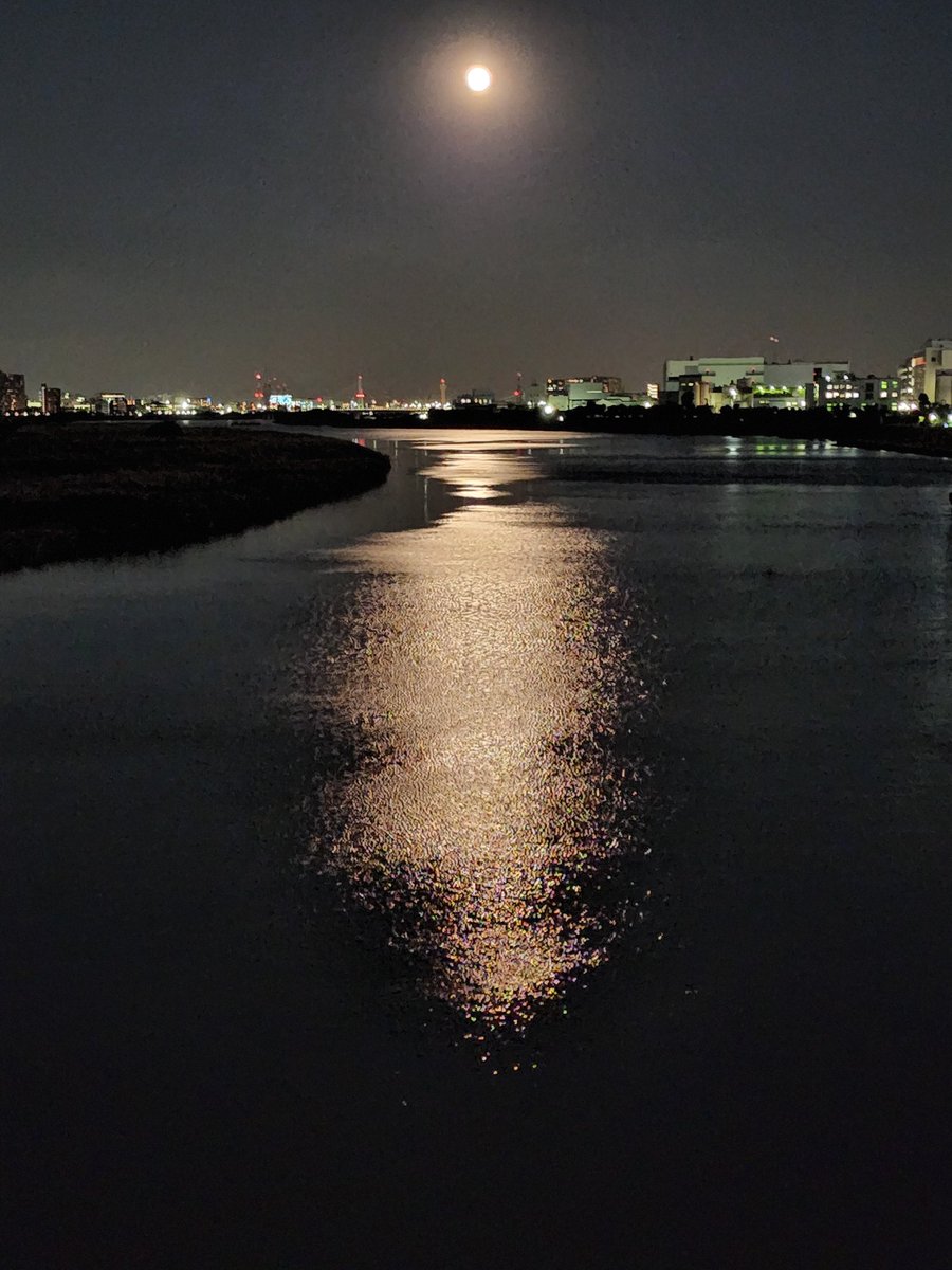 多摩川の夜(2022年冬)
(題名)　月光