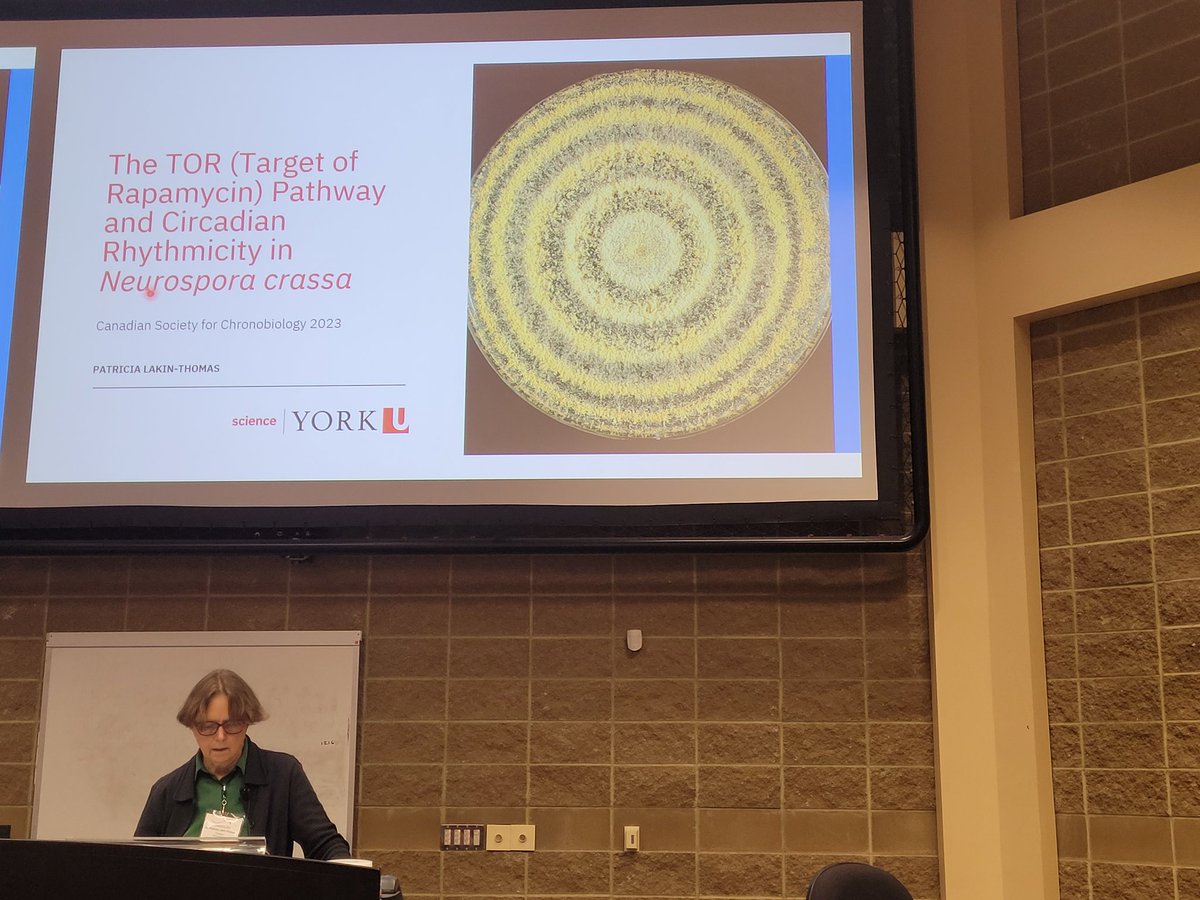 DrMikeAntle (@antledr) on Twitter photo Dr Pat Lakin-Thomas talking about the fungus among us at #csc2023guelph <a href="/ChronobioCanada/">Canadian Society for Chronobiology</a> Dr Pat Lakin-Thomas talking about the fungus among us at #csc2023guelph <a href="/ChronobioCanada/">Canadian Society for Chronobiology</a>