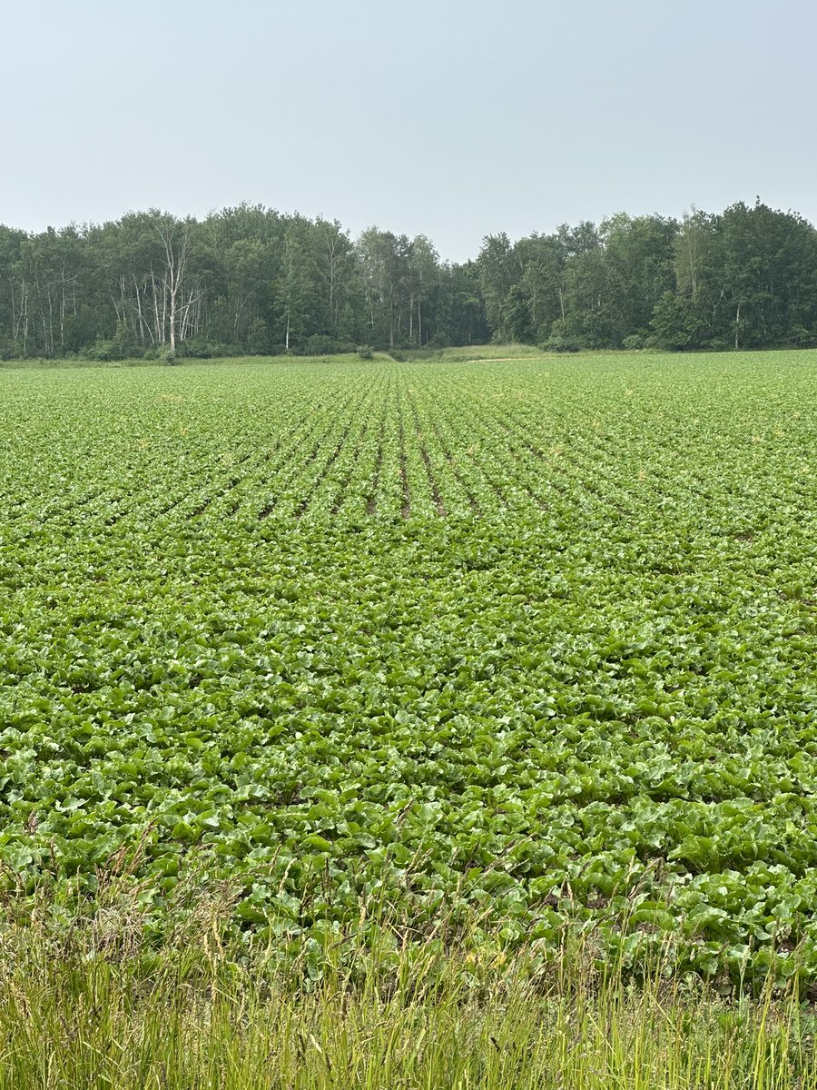 Clint Hagen tweet media