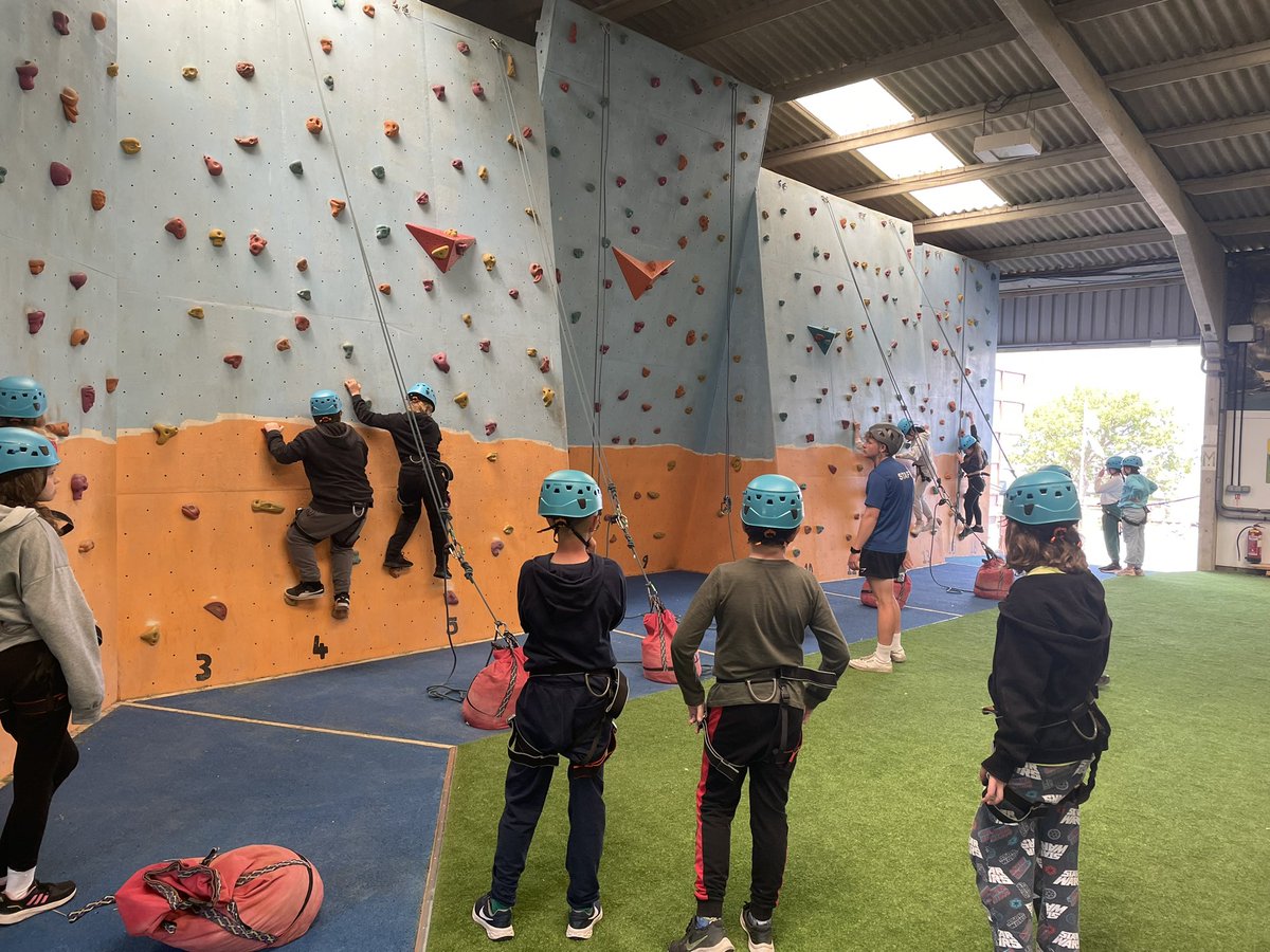 Peter Lea Primary tweet media