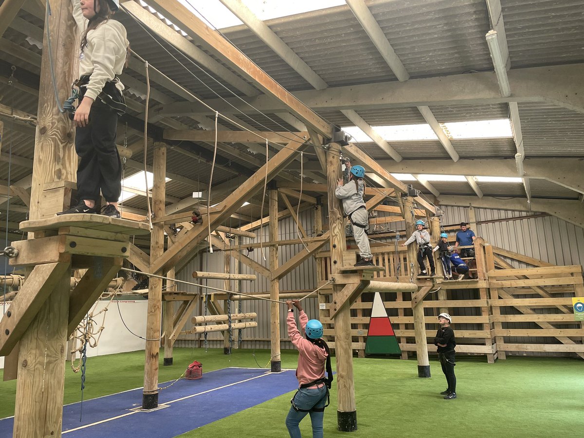 Peter Lea Primary tweet media