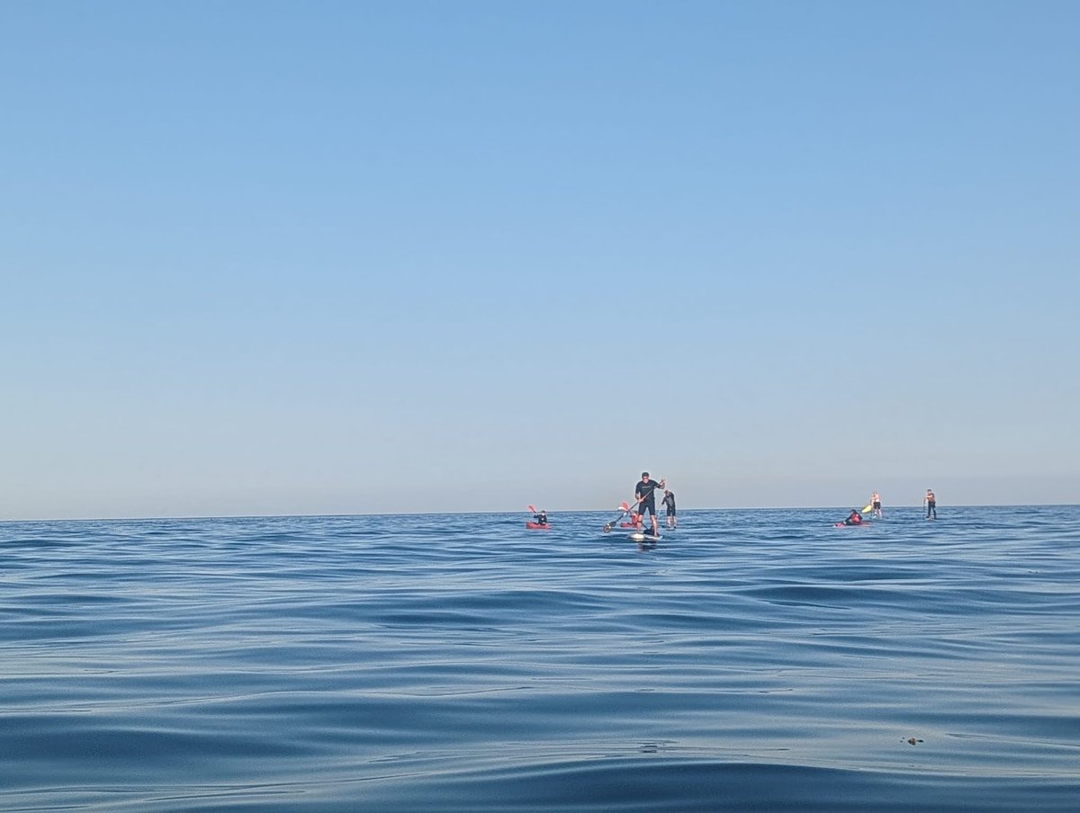 CGuilding's tweet photo. I saw the dolphins this evening! Kayaking with @cbkadventure from #Cullercoats across #Tynemouth #Longsands to #KingEdwards there was a big pod, some breaching within 5-10m of our kayaks. Magical!! 🐬🐬🛶 https://t.co/7WXSvLRm1C