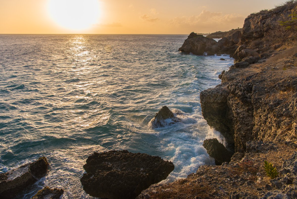 losoriginales's tweet photo. ¿Te consideras el mejor papá del mundo? 👨‍👦👨‍👦‍👦👨‍👧‍👦👨‍👧¡Pilas!, ¡pendientes! ¡Porque  @CuracaoTravel  y #LosOriginales te tienen una gran sorpresa! 🎉🎉🎉🎊💥 https://t.co/uhRwTlIhlx